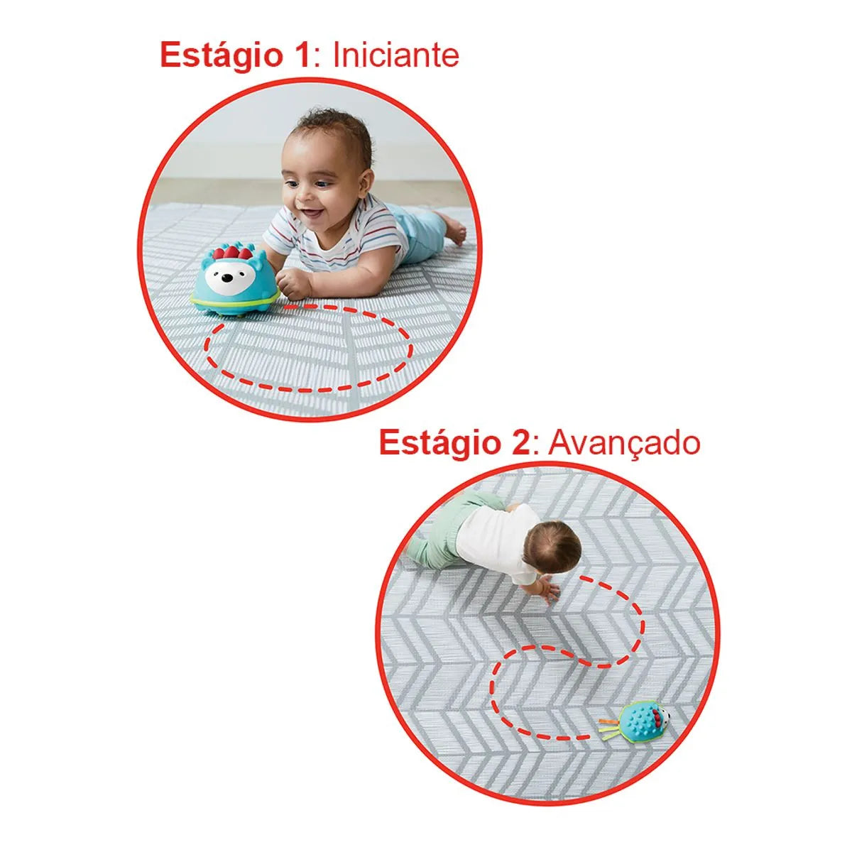 Brinquedo Infantil Interativo para Engatinhar Porco-Espinho Skip Hop