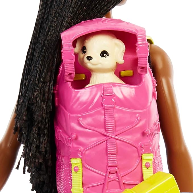 Barbie Brooklyn Dia de Acampamento