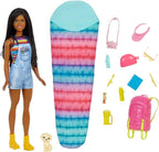 Barbie Brooklyn Dia de Acampamento