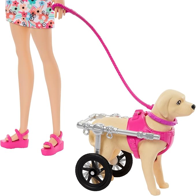 Barbie, Conjunto de Brinquedo, Passeio de Animais de Estimação com Cadeira de Rodas