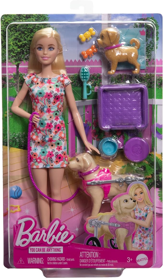 Barbie, Conjunto de Brinquedo, Passeio de Animais de Estimação com Cadeira de Rodas