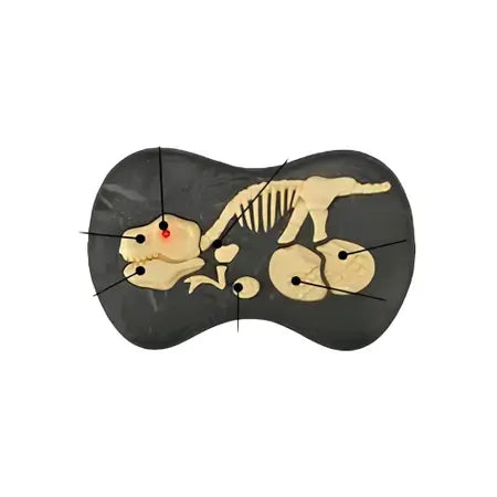 Dinossauro Velociraptor Recarregável Controle Remoto